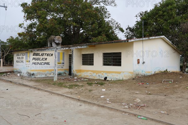 Community library