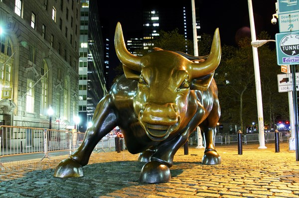 Wall Street Bull