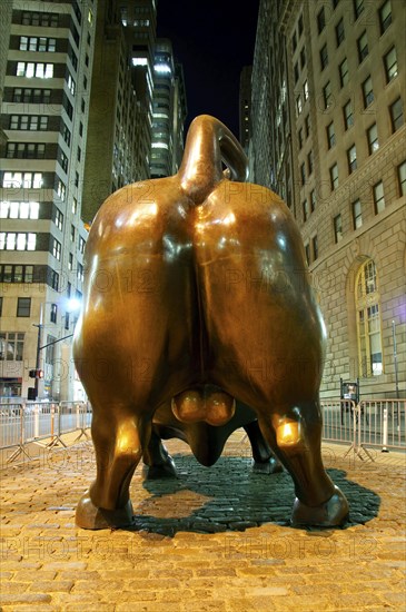 Wall Street Bull