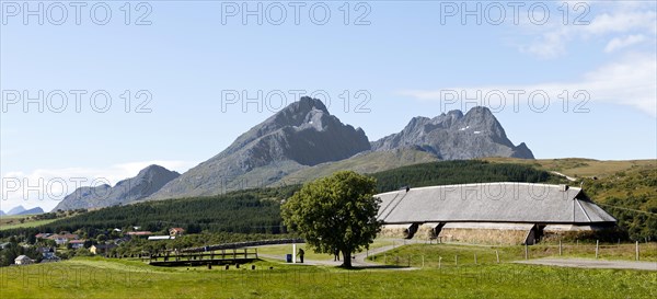 Viking Museum