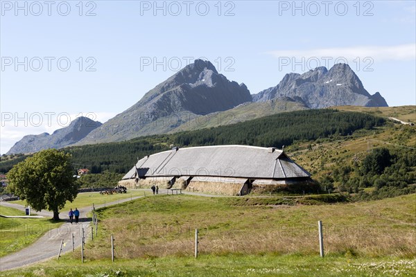 Viking Museum