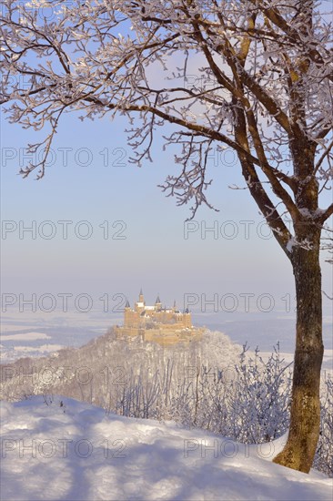 Burg Hohenzollern Castle in winter