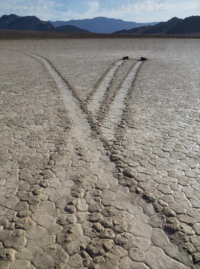 Traces generated by the mysterious wandering rocks in the so-called Racetrack