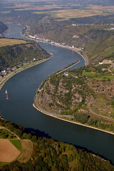 Lorelei rock on the river Rhine