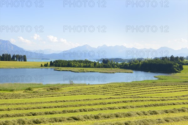 Illasbergsee lake