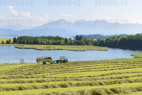 Illasbergsee lake