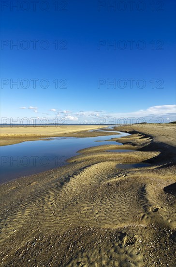 Landscape with dunes in the Deltapark region