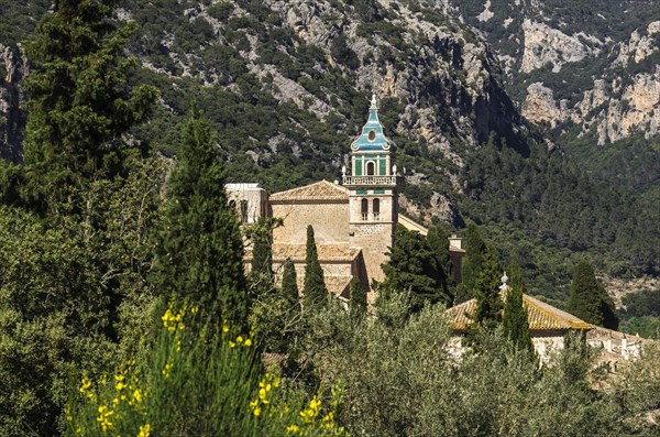 Townscape with the Charterhouse or the Royal Carthusian Monastery of Valldemossa