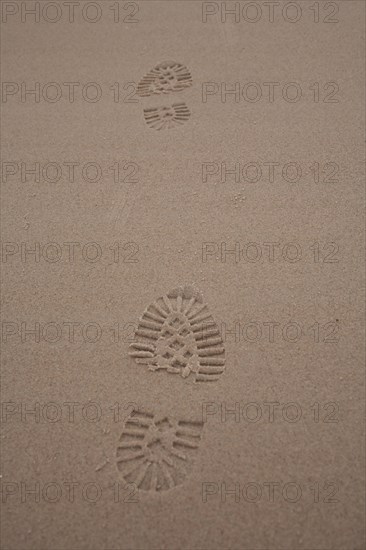 Footprints in the sand