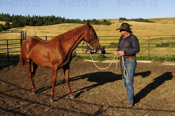Cowboy taming a wild horse in a paddock on the prairie