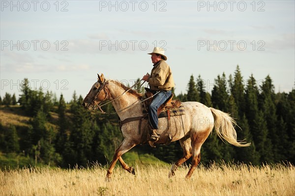 Cowboy riding a horse across the prairie