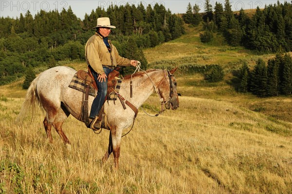 Cowboy riding a horse across the prairie