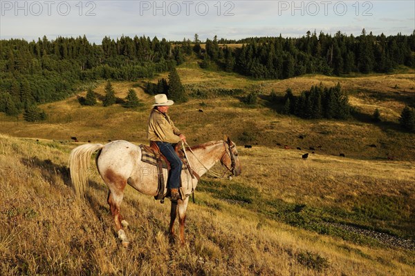 Cowboy riding a horse across the prairie