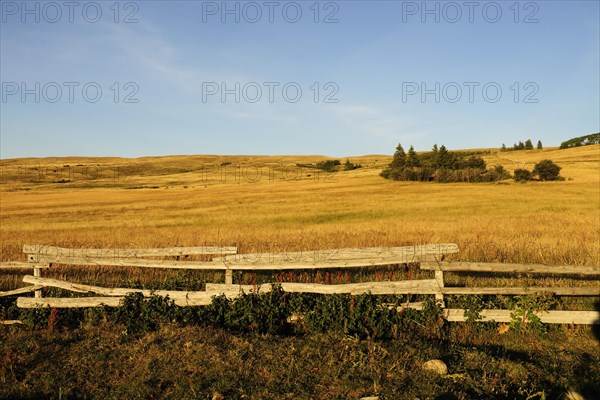 Prairie with a fence in the evening light