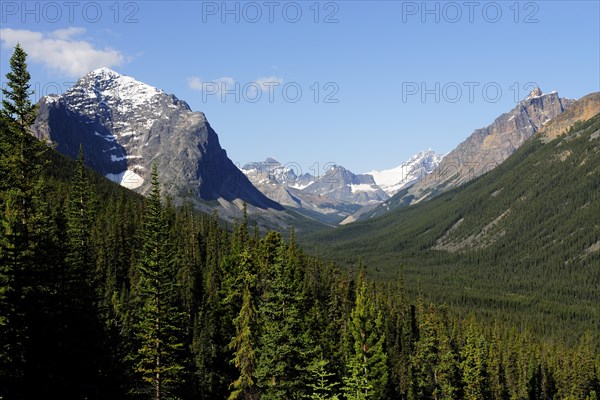 Extensive U-shaped valley or glacial trough in the Rocky Mountains