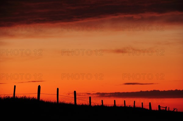 Barbed wire fence running through the prairie at sunrise