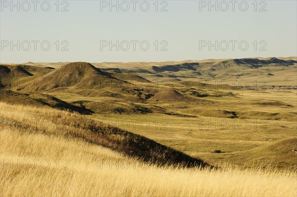 Hilly grassland