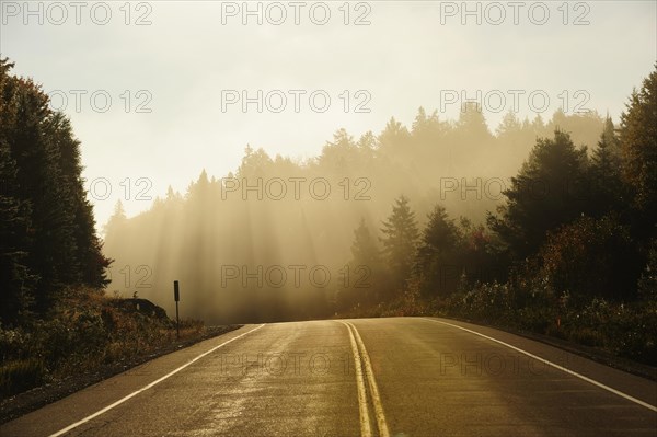 Road through the Canadian autumnal forest early in the morning