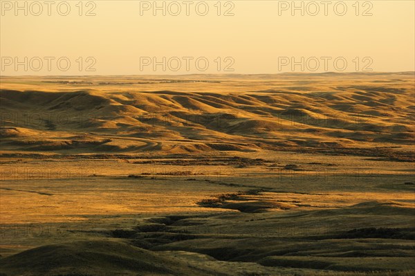 Prairie landscape in the evening light