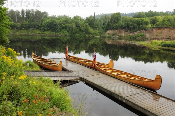 Traditional birch-bark canoes
