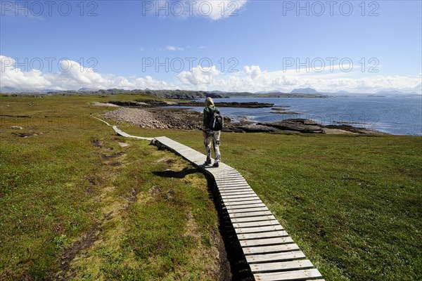 Hiker walking over a wooden boardwalk that crosses the marshy areas around the island of Handa