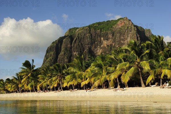 The Le Mont Brabant mountain rising behind palm trees on the sandy beach