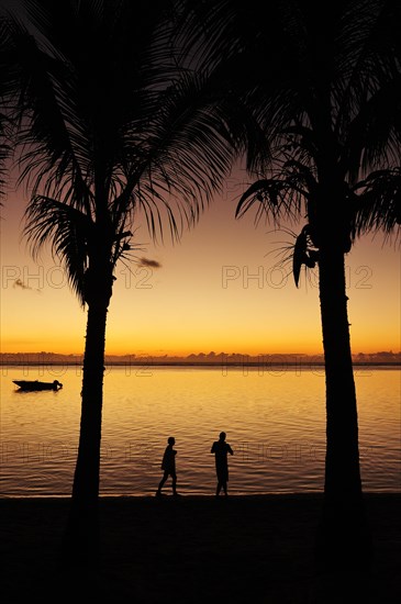 Sunset at Le Morne Beach with palm trees