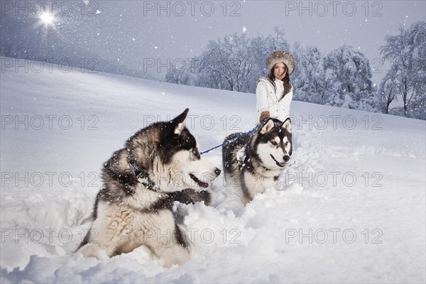 Young woman with huskies in the snow