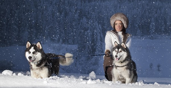 Young woman with huskies in the snow