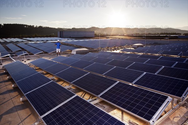 Solar energy plant with backlighting