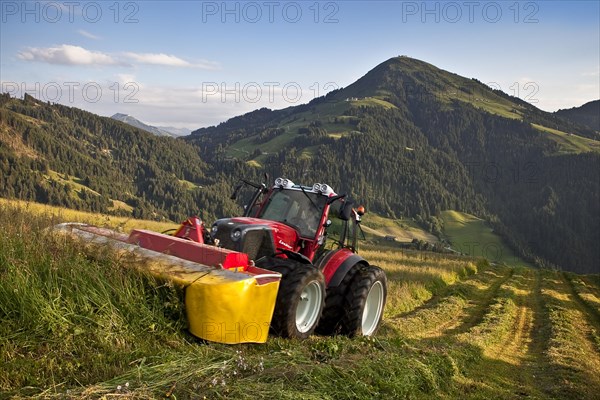 Tractor mowing hay