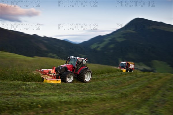 Tractor mowing hay