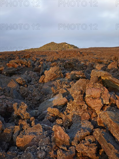 Lava rocks in the last evening light
