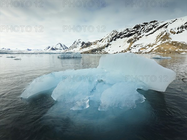 Fjord with pack ice