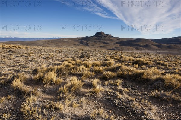 Steppe landscape near the cave Cueva de las Manos