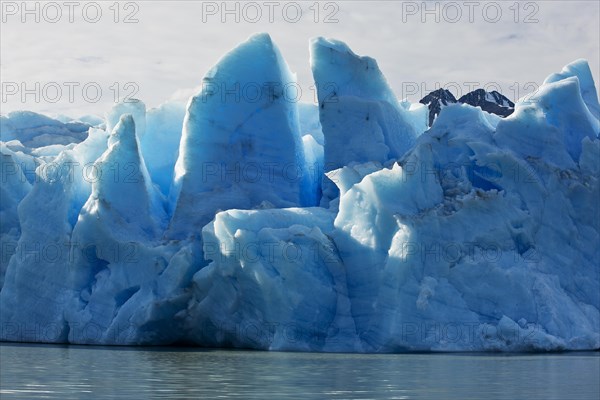 Grey Glacier