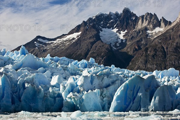 Grey Glacier