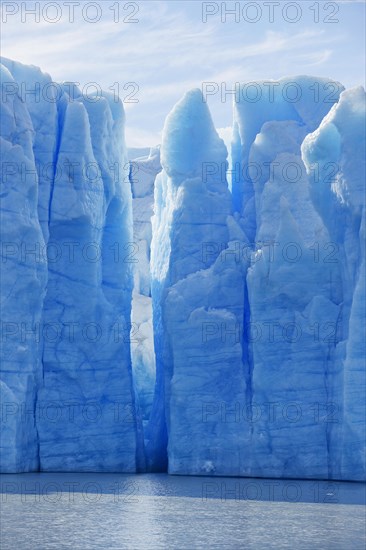 Grey Glacier