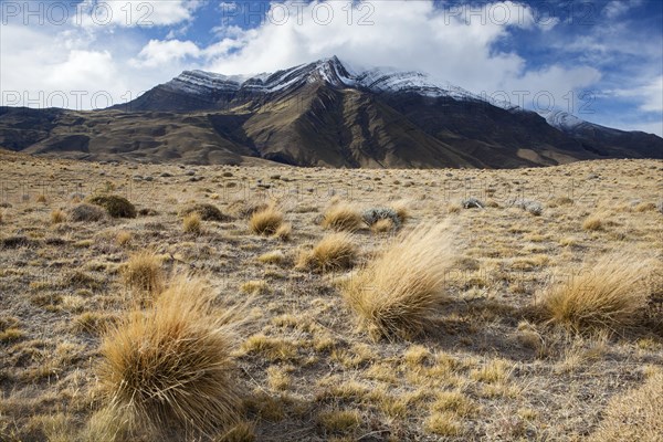 Steppe landscape at the Perito Moreno Glacier