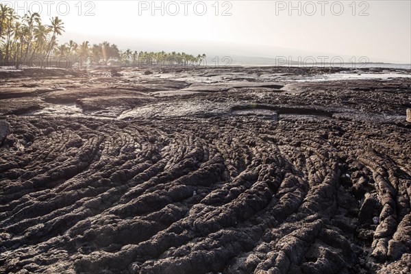 Cold lava on the coast of Pu'uhonua o Honaunau