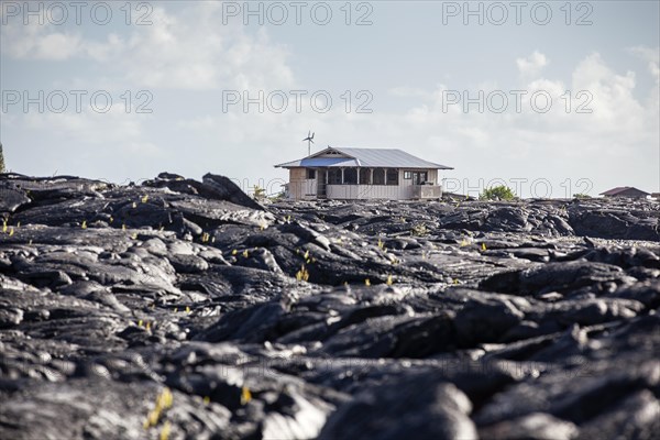 Pu'u 'O'o volcano