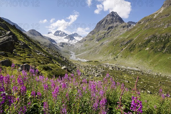 Jamtal Valley