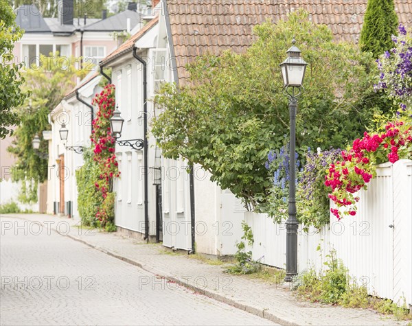 Street with old residential houses and flowers