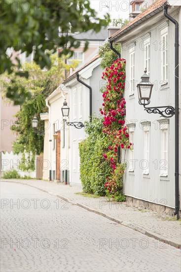 Street with old residential houses and flowers