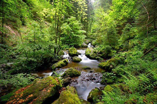 Mountain stream