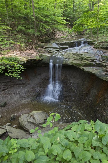 Blue Hen Falls