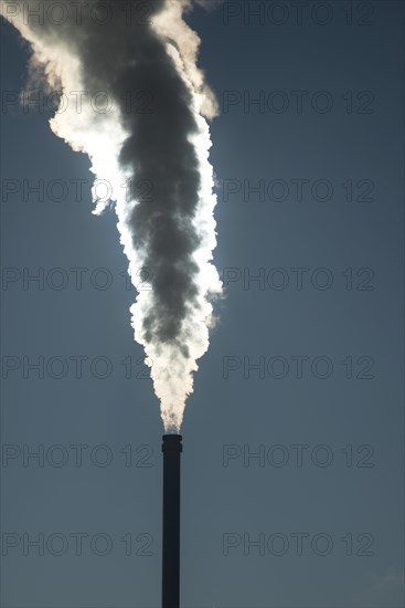 Smoking chimney of a modern biomass-fired power station