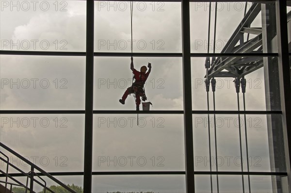 Window cleaner