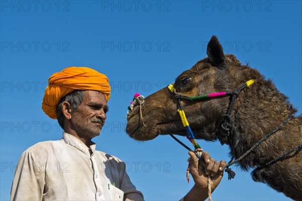 Indian man with an orange turban holding his camel by the reins
