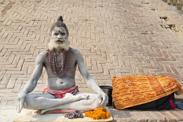 Sadhu